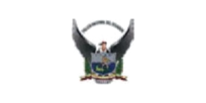 Logotipo de cliente de VISAR