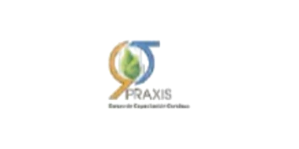 Logotipo de cliente de VISAR